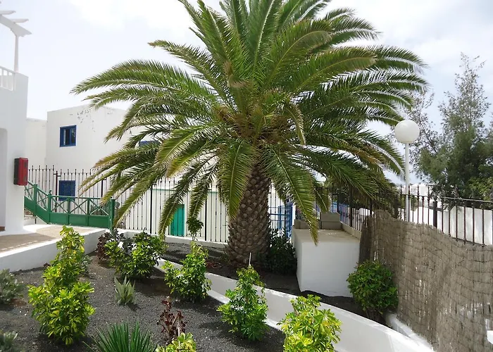 Cactus Puerto del Carmen