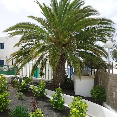 Cactus プエルト・デル・カルメン